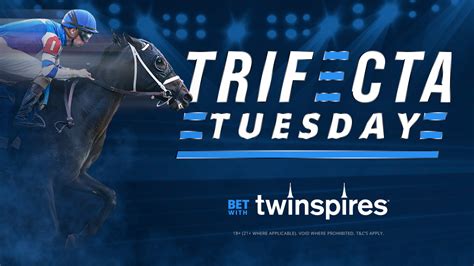 winners horse betting ct.